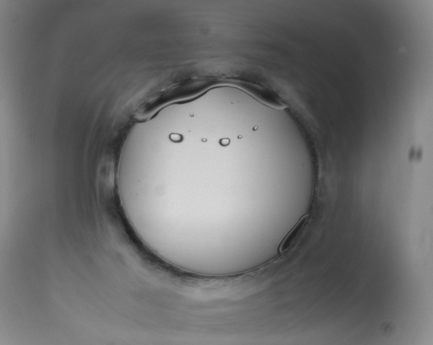 X0000113210021200909241435