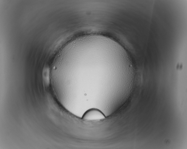 X0000113210022200909241435