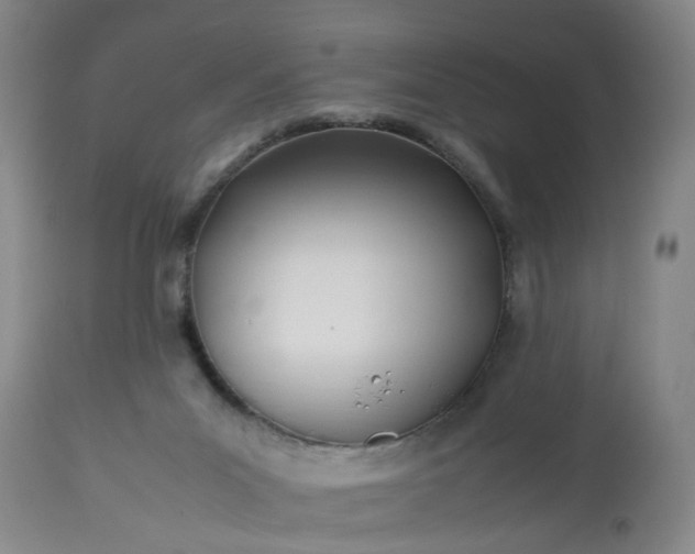 X0000113210023200909241435