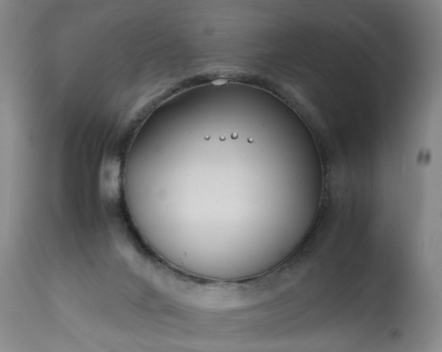 X0000113210024200909241435