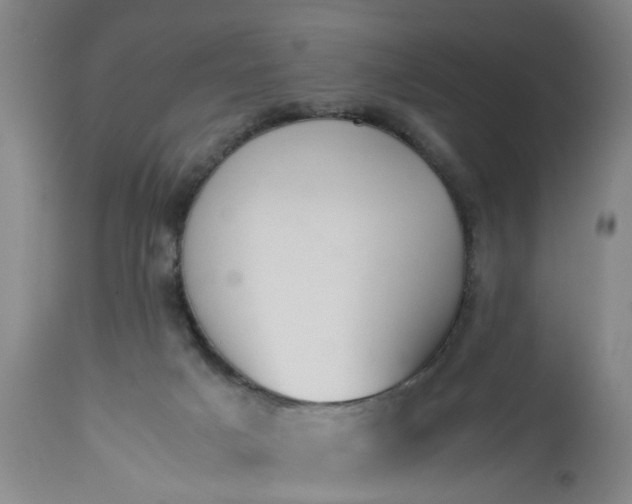 X0000113210025200909241435