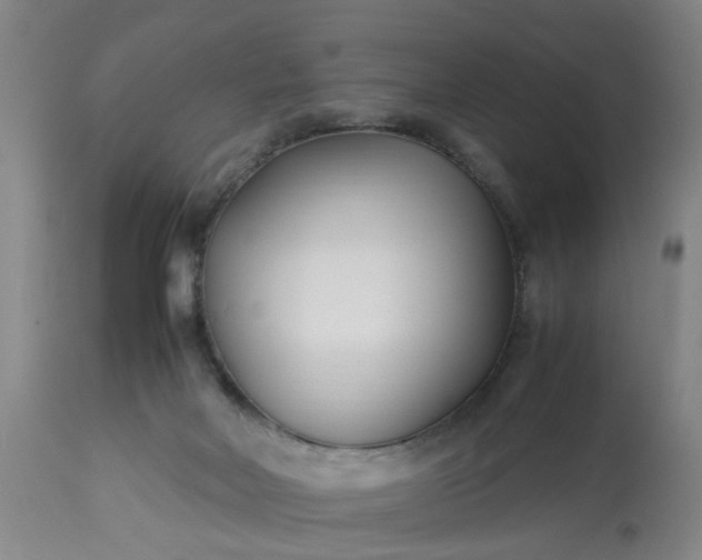 X0000113210026200909241435