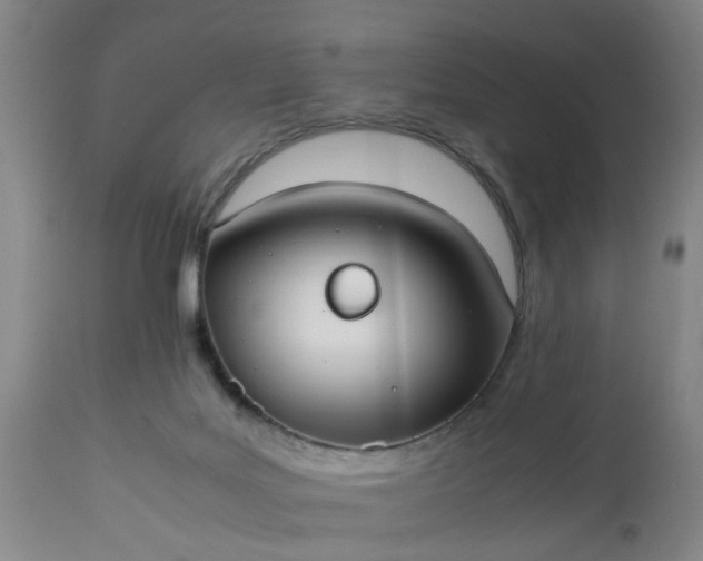 X0000113210027200909241435