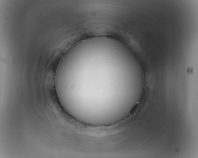 X0000113210029200909241435