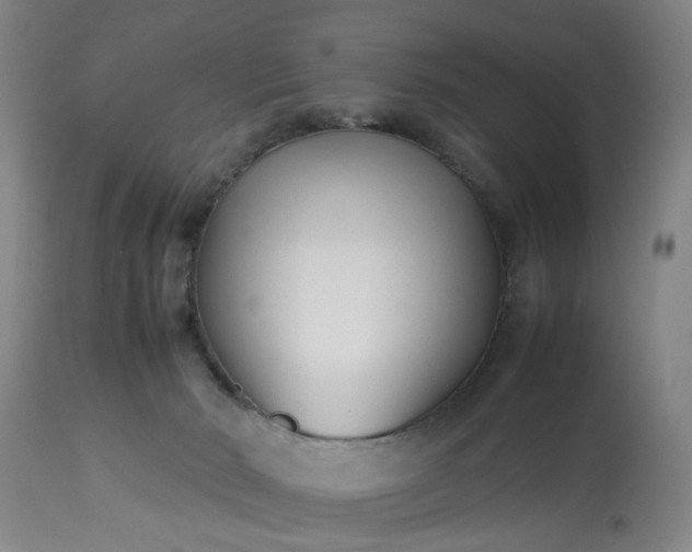 X0000113210030200909241435