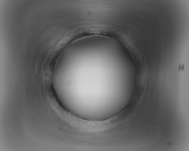 X0000113210031200909241435