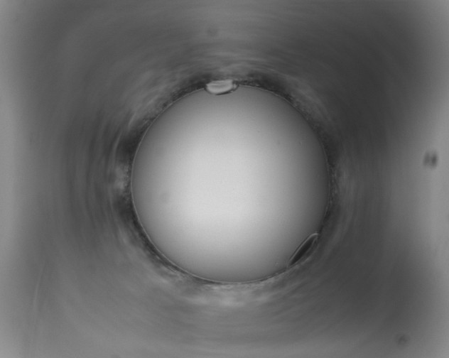 X0000113210033200909241435