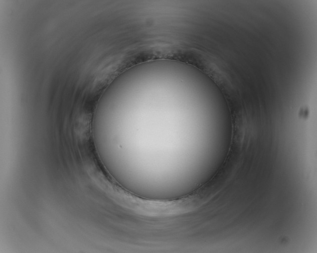 X0000113210034200909241435