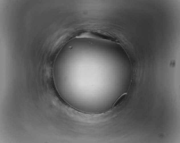 X0000113210035200909241434