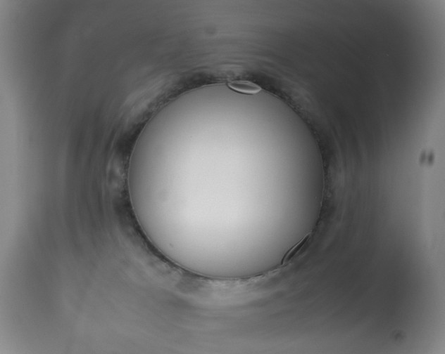 X0000113210037200909241434