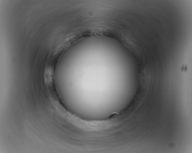 X0000113210038200909241434