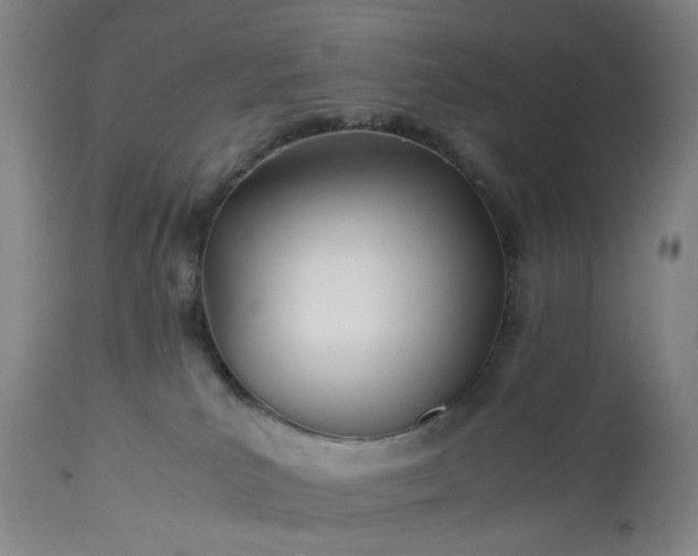 X0000113210039200909241434