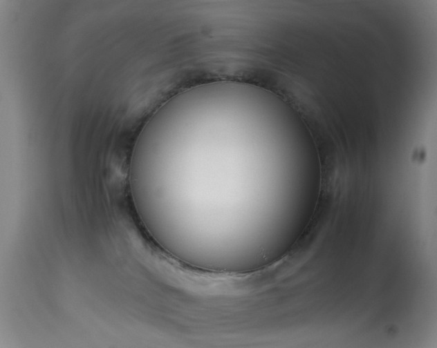 X0000113210040200909241434