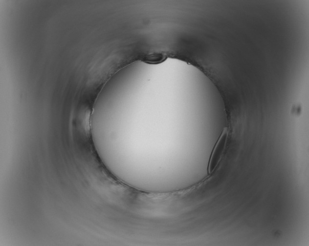 X0000113210041200909241434