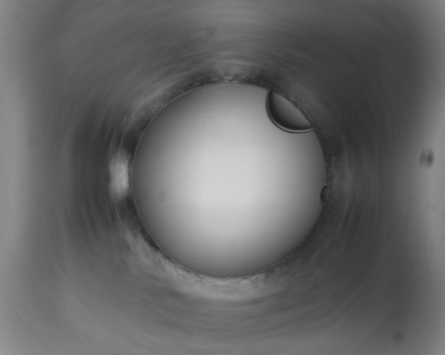 X0000113210042200909241434