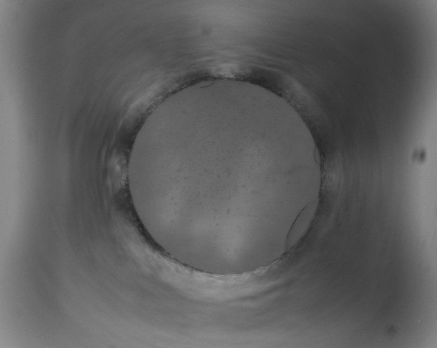 X0000113210043200909241434