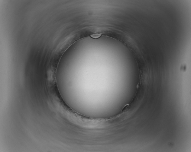 X0000113210044200909241434