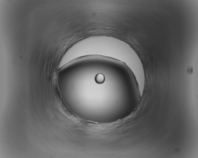 X0000113210045200909241434