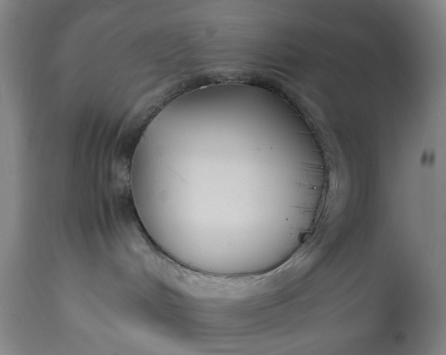 X0000113210048200909241434