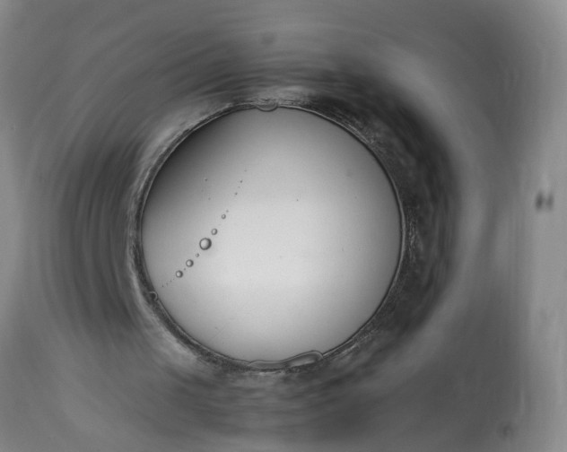 X0000113210049200909241433