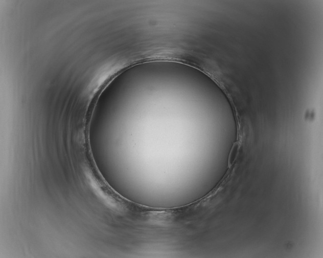 X0000113210050200909241434