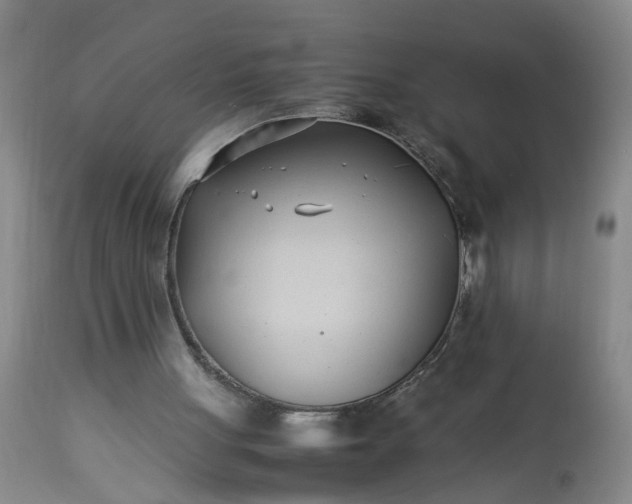 X0000113210051200909241434