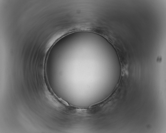 X0000113210052200909241434