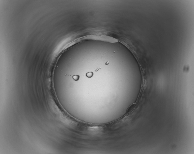 X0000113210053200909241434