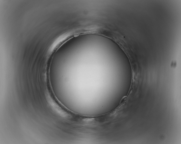 X0000113210054200909241434