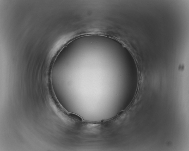 X0000113210055200909241434