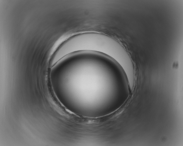 X0000113210056200909241434