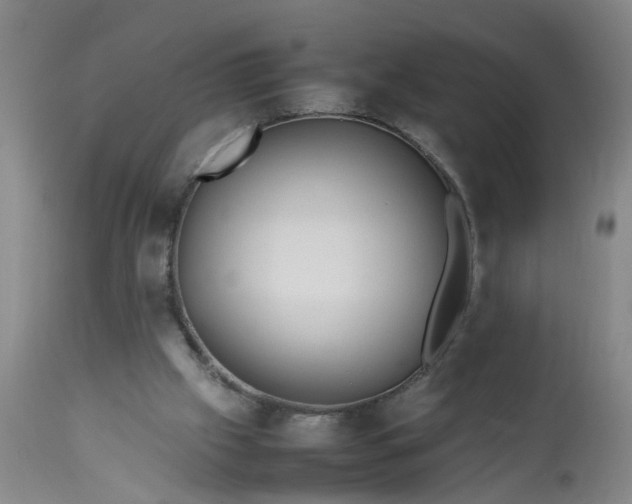 X0000113210057200909241434