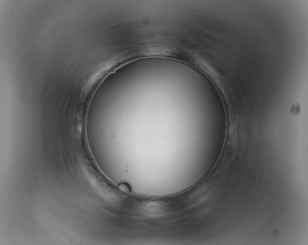 X0000113210059200909241434