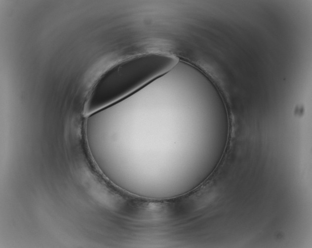 X0000113210060200909241434