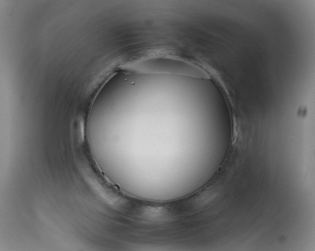 X0000113210061200909241434