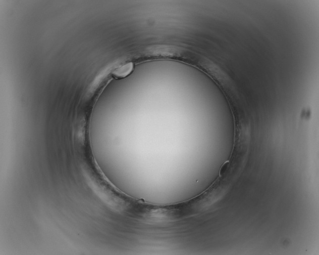 X0000113210064200909241434