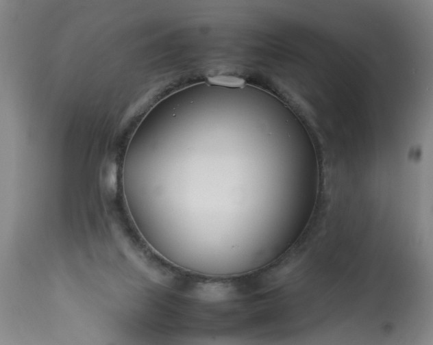 X0000113210067200909241434