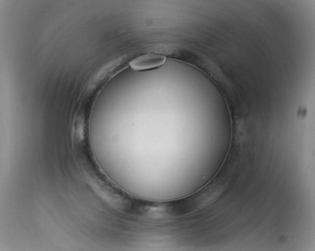 X0000113210068200909241434