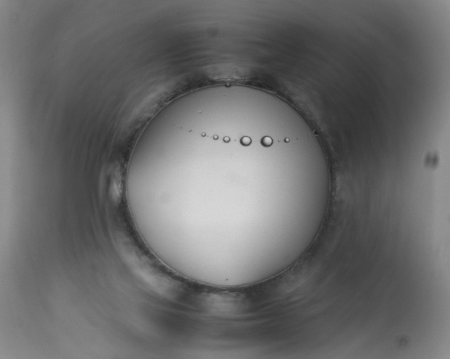 X0000113210069200909241434