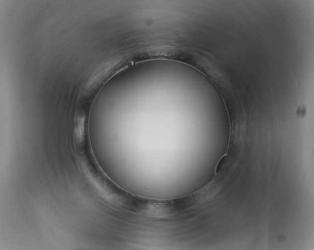 X0000113210070200909241434