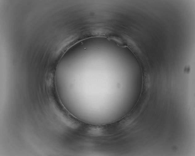 X0000113210071200909241434