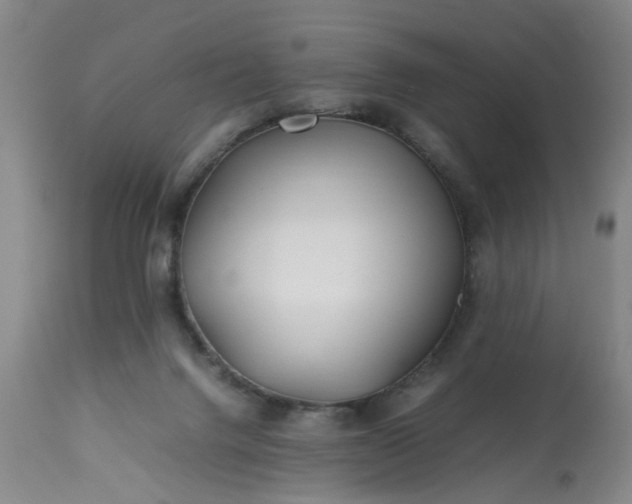 X0000113210072200909241434