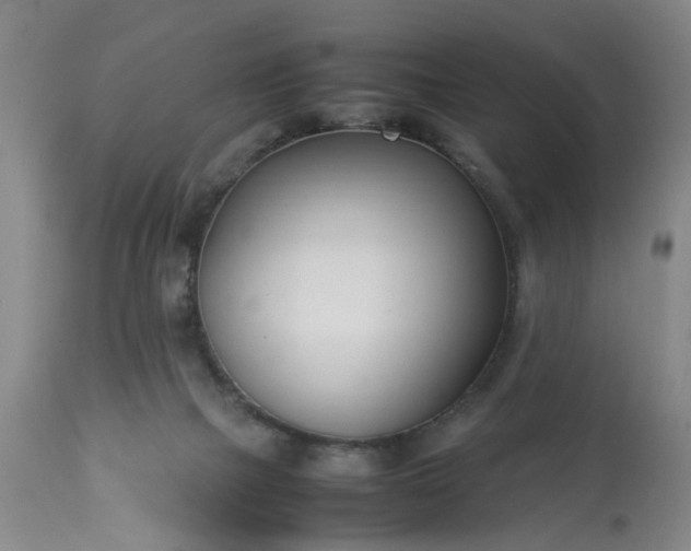 X0000113210073200909241434