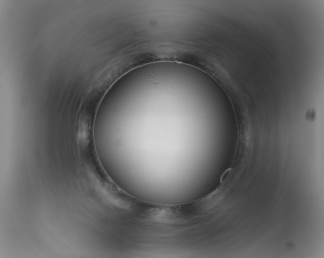 X0000113210074200909241434