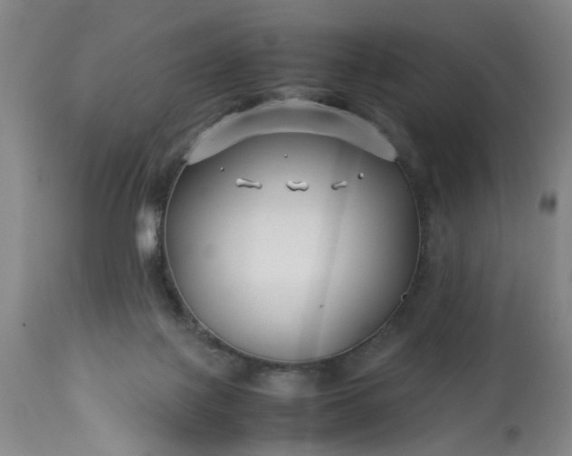 X0000113210075200909241434