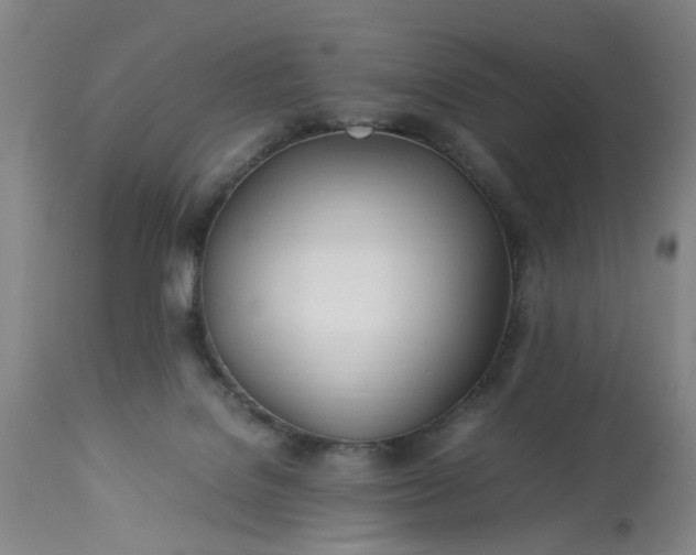 X0000113210076200909241434