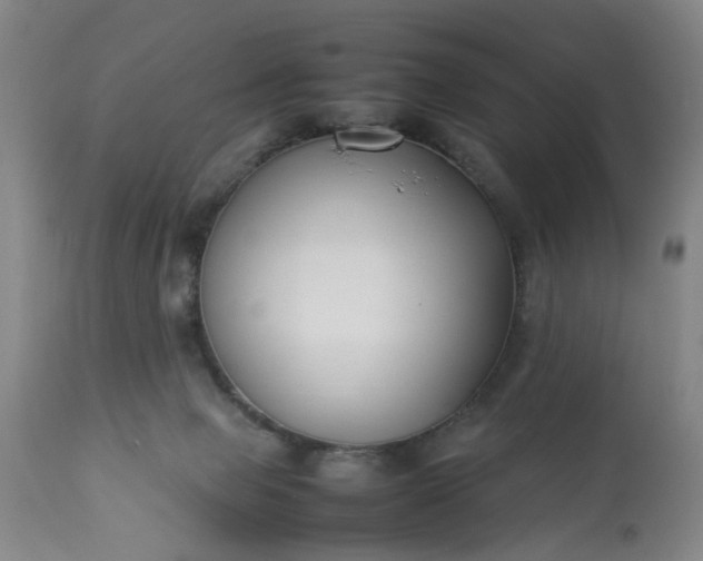 X0000113210077200909241434