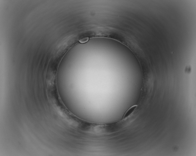 X0000113210078200909241434