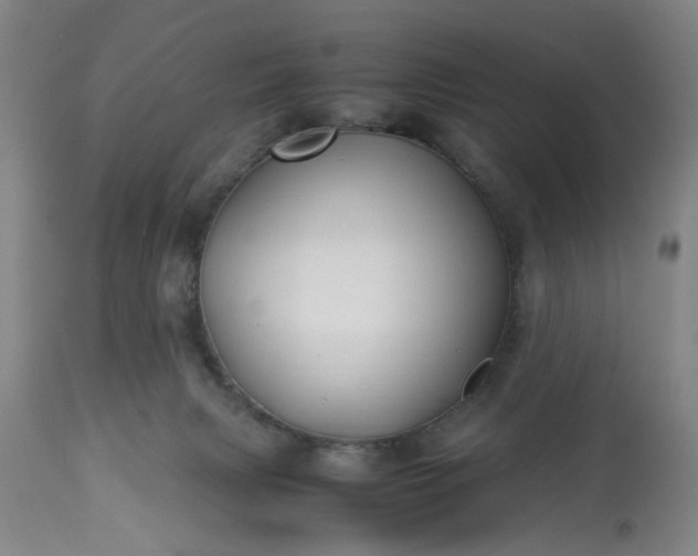 X0000113210079200909241434