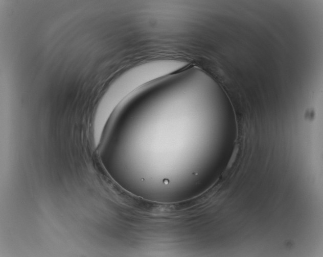 X0000113210080200909241434